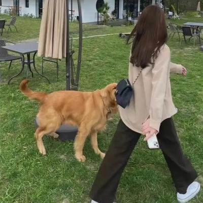 老友记第二季